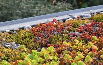 the cost of Tynygraig green roof installation