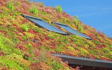 Tynygraig living roof systems